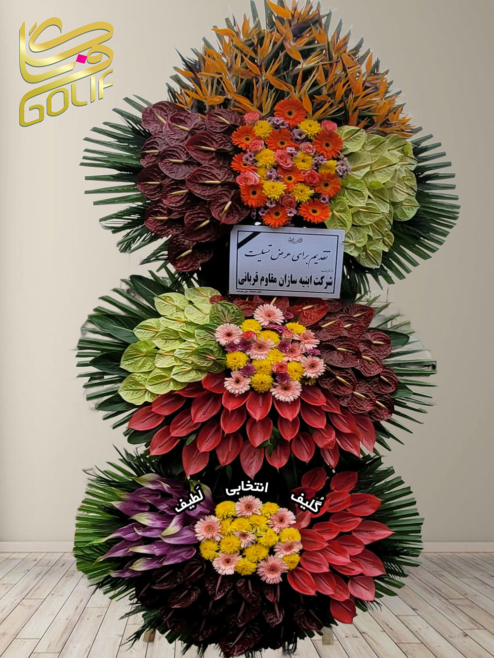 تاج گل تبریک سه طبقه (آنتوریوم، مرغ بهشتی، ژربرا) گل‌های اصلی و غالب این تاج گل شامل موارد زیر هستند: آنتوریوم قرمز و صورتی: این گل‌ها در بخش پایینی طراحی خودنمایی می‌کنند و زیبایی ویژه‌ای به این طبقه داده‌اند. پرنده بهشتی نارنجی و آبی: در طبقه بالایی تاج گل برجسته‌ترین نقش را دارند و جذابیت بصری فوق‌العاده‌ای ایجاد کرده‌اند. ژربرای سفید: در طبقه میانی حضور دارند و جلوه‌ای لطیف و آرامش‌بخش ایجاد کرده‌اند. این گل‌ها در کنار برگ‌های سبز و طراحی چندطبقه‌ای، شکوه و هماهنگی خاصی به این تاج گل بخشیده‌اند. تاج گل افتتاحیه، تاج گل نمایشگاهی، تاج گل عقد و عروسی سفارش آنلاین تاج گل سفارش آنلاین گل عکاسی شده توسط گل‌فروشی آنلاین گلیف